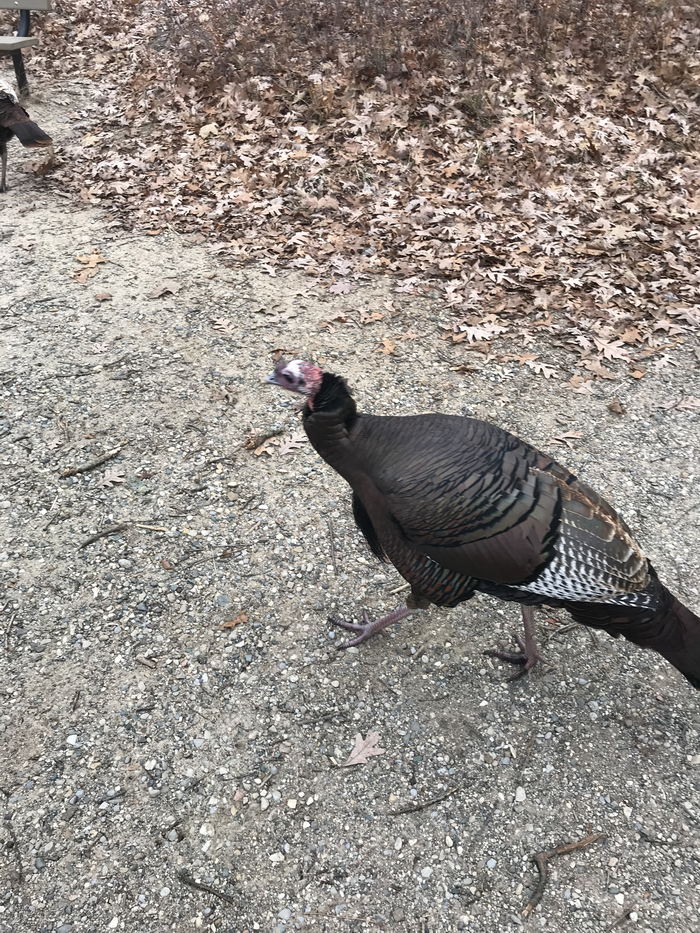 Kensington Metropark - 2019 Photo